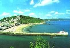 plylooe1.jpg - 9502 Bytes