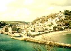 plylooe2.jpg - 9572 Bytes