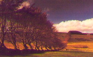 plymoors.jpg - 14971 Bytes