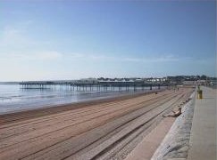plypaignton.jpg - 9307 Bytes