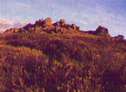 plytor.jpg - 8234 Bytes