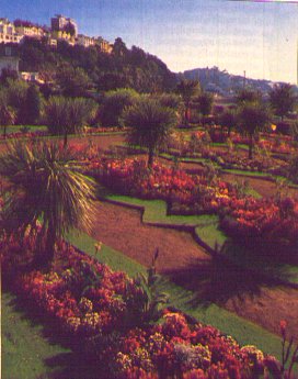 plytorquay.jpg - 28401 Bytes