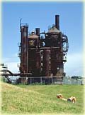 seatgas_2.jpg - 6188 Bytes