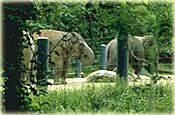 seatzoo_1.jpg - 9636 Bytes