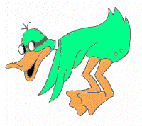 Diving Duck