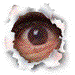 Ouch! You poked me in the eye!