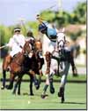 P�LO - Esporte de pr�ncipes
