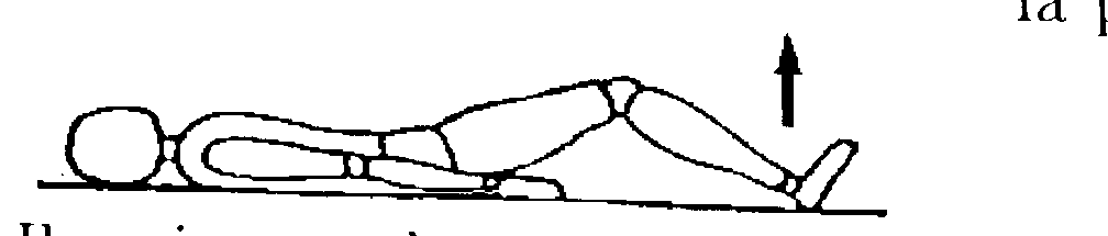 Image26.gif (4232 byte)