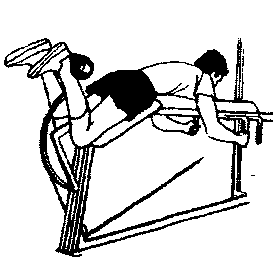 Image9.gif (9498 byte)