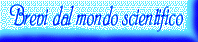 tastbrevi.gif (3791 byte)