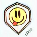 6069.jpg (5906 bytes)