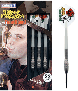 david.gif (5536 bytes)