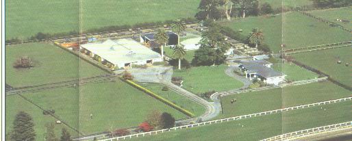 a birds eye view of the stable