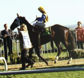 Moss Downs