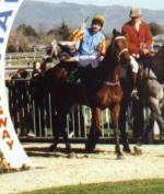 Sunline after the race