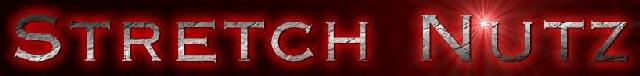 SNlogo.jpg (9575 bytes)