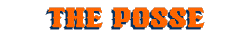 Bronco Fans Homepages