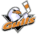 San Diego Gulls
