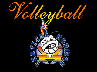 The VBall Team