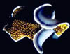 macro04