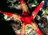 macro10