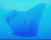 ray02