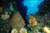 scape02