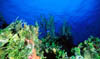 scape04