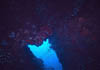 scape11
