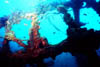 wreck09