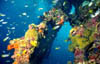 wreck12