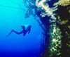 wreck13