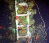 wreck14
