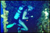 wreck15