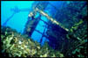 wreck18