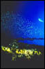 wreck19