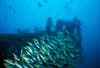 wreck24