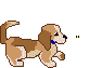 dog.gif (7734 bytes)