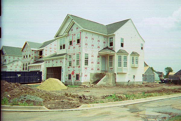 Side View
