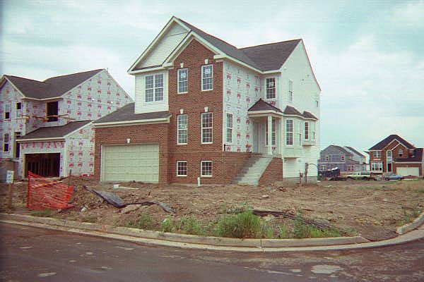 Side View