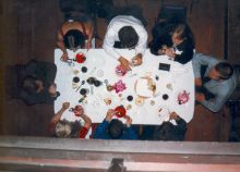 An alternative view of dinner