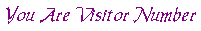 Visitor Number