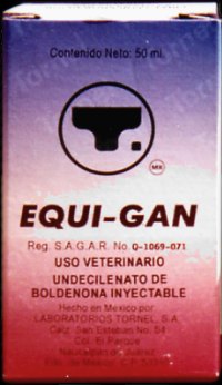 Equigan for horses