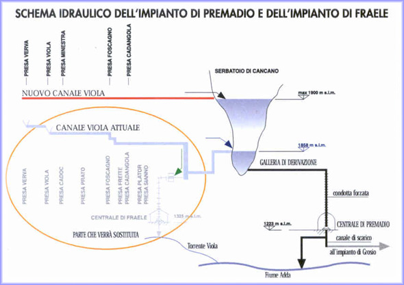 nuovo canale viola