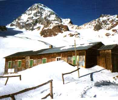 Frattola