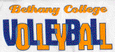 Swede Volleyball Logo