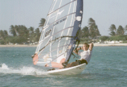 Surfing Aruba