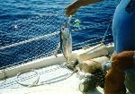 [Bahama '97 22]