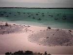 [Exuma 1]