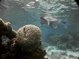 [coralhead]